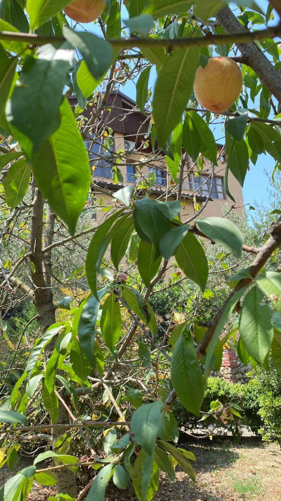Villa Mugs Ljaknasi Buitenkant foto
